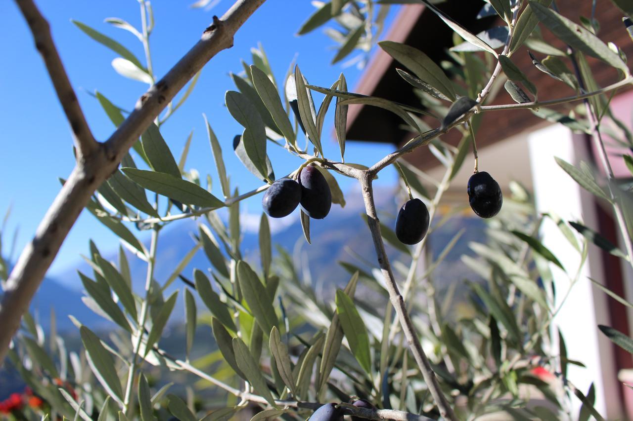 Schenna Garni Eden Bed & Breakfast Scena Exterior foto