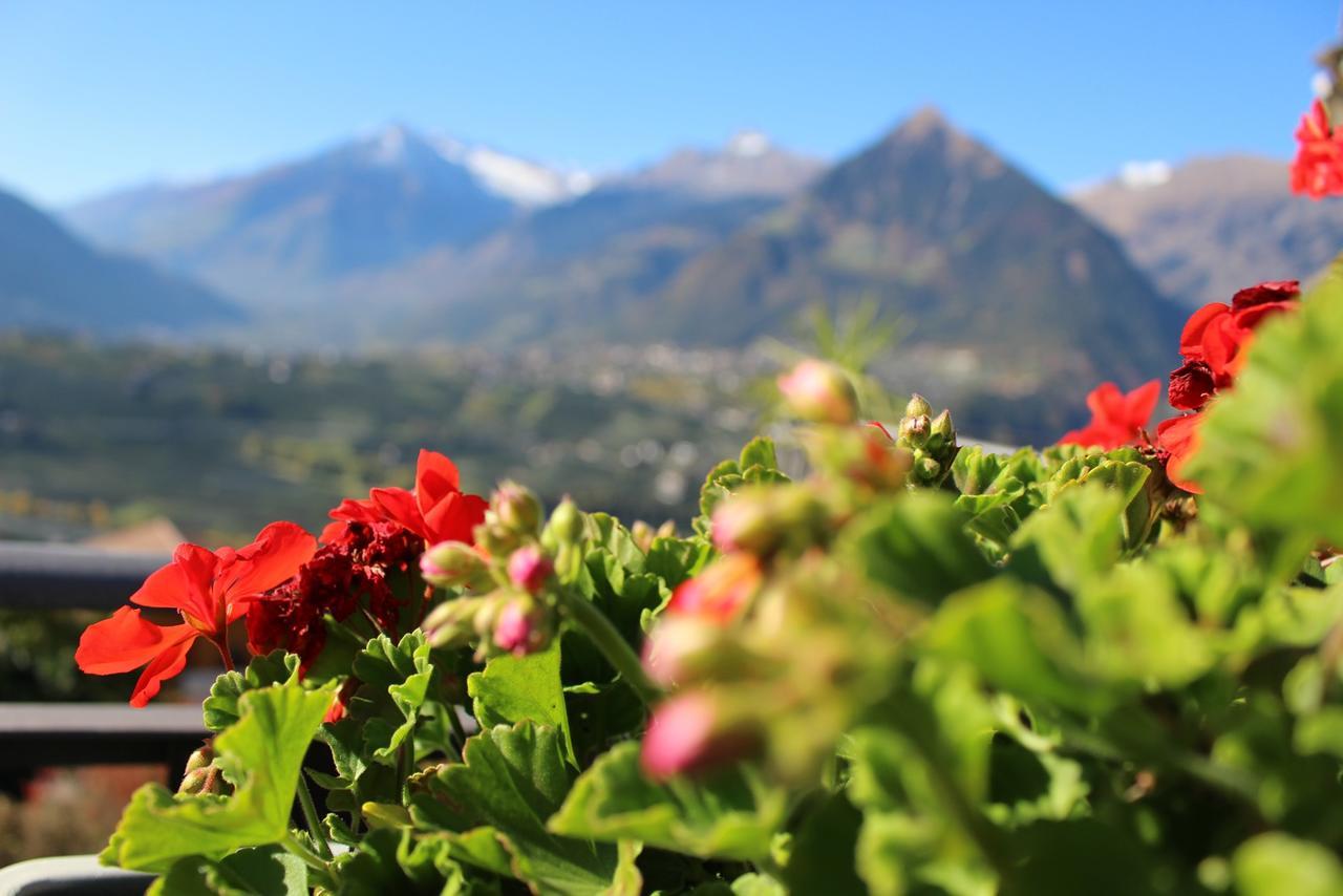 Schenna Garni Eden Bed & Breakfast Scena Exterior foto