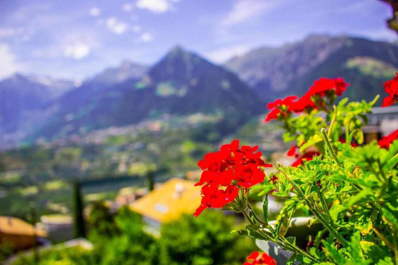 Schenna Garni Eden Bed & Breakfast Scena Exterior foto