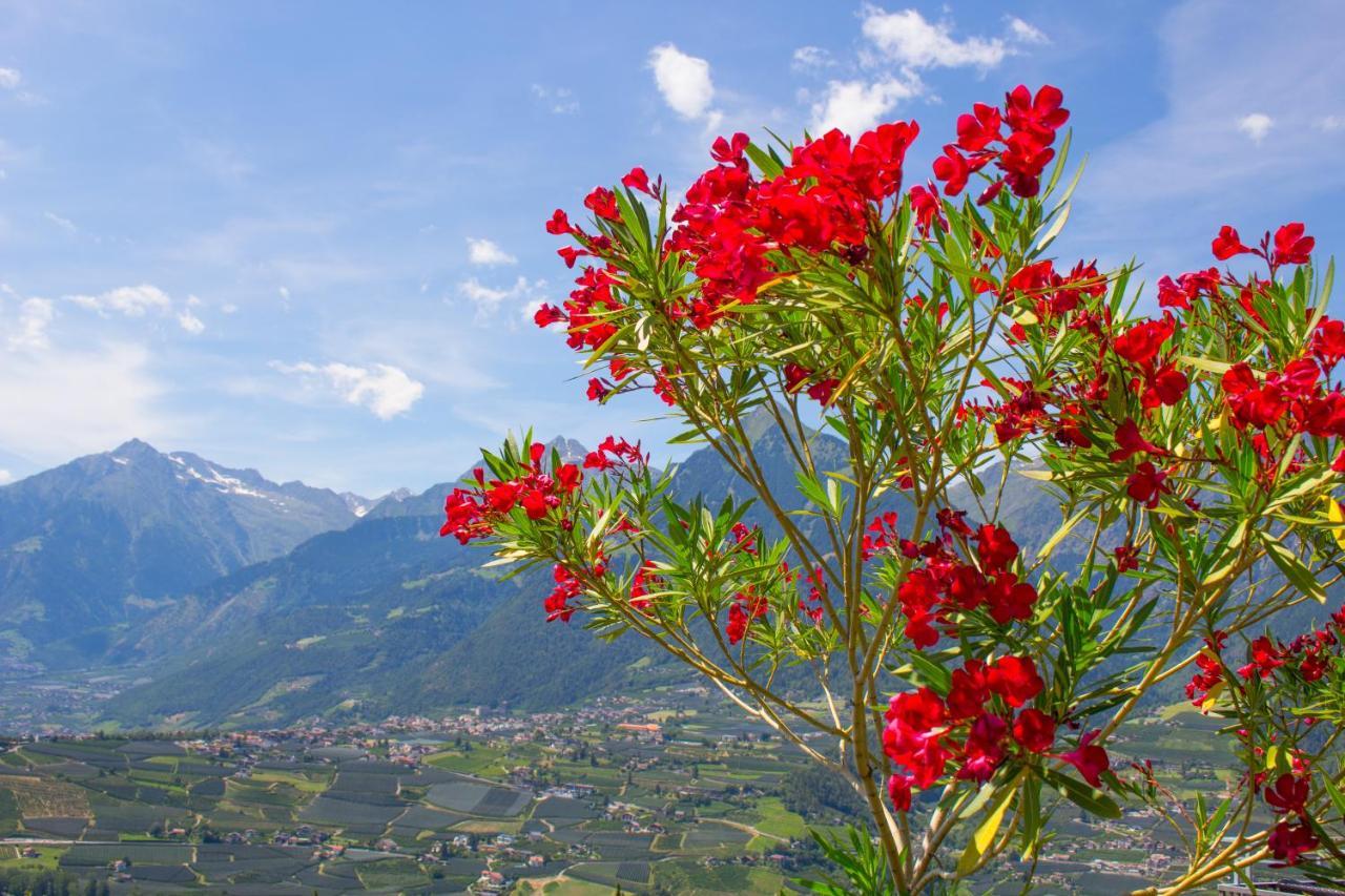 Schenna Garni Eden Bed & Breakfast Scena Exterior foto