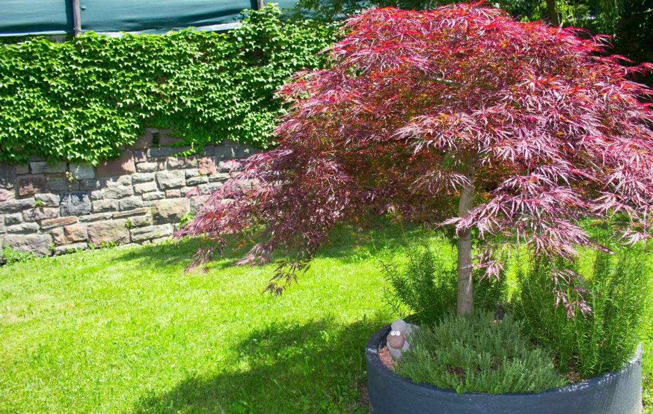 Schenna Garni Eden Bed & Breakfast Scena Exterior foto